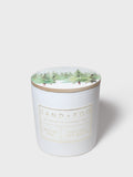 Winter Pine 21 oz scented candle