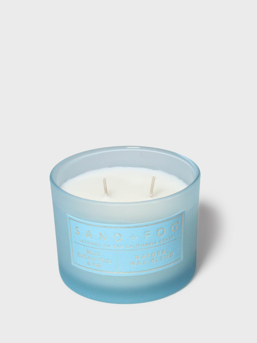 Blue Eucalyptus & Fir 12 oz scented candle